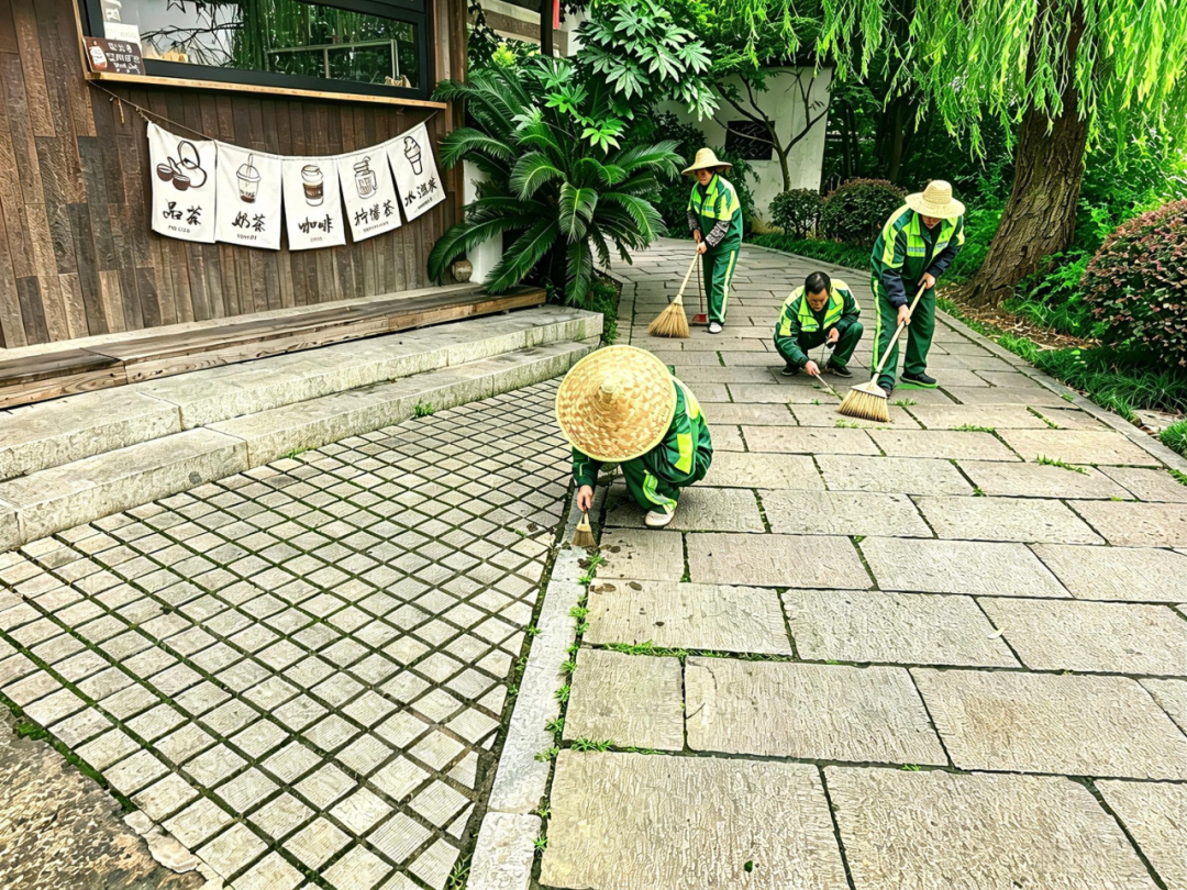 央視聚焦木瀆古鎮｜鴻灌環境匠心保潔護航千年江南古韻(圖12)